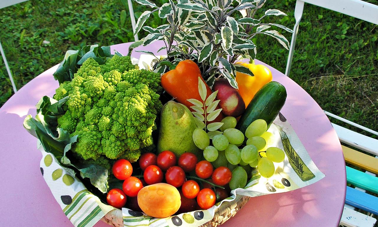 发卡网批发的ddos工具下载