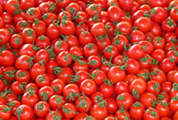 DDOS在线攻击平台