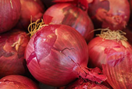 【问题解决方案】完整教程的网站压力测试