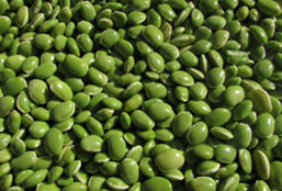 网页DDOS攻击平台