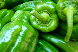 DDOS在线攻击平台